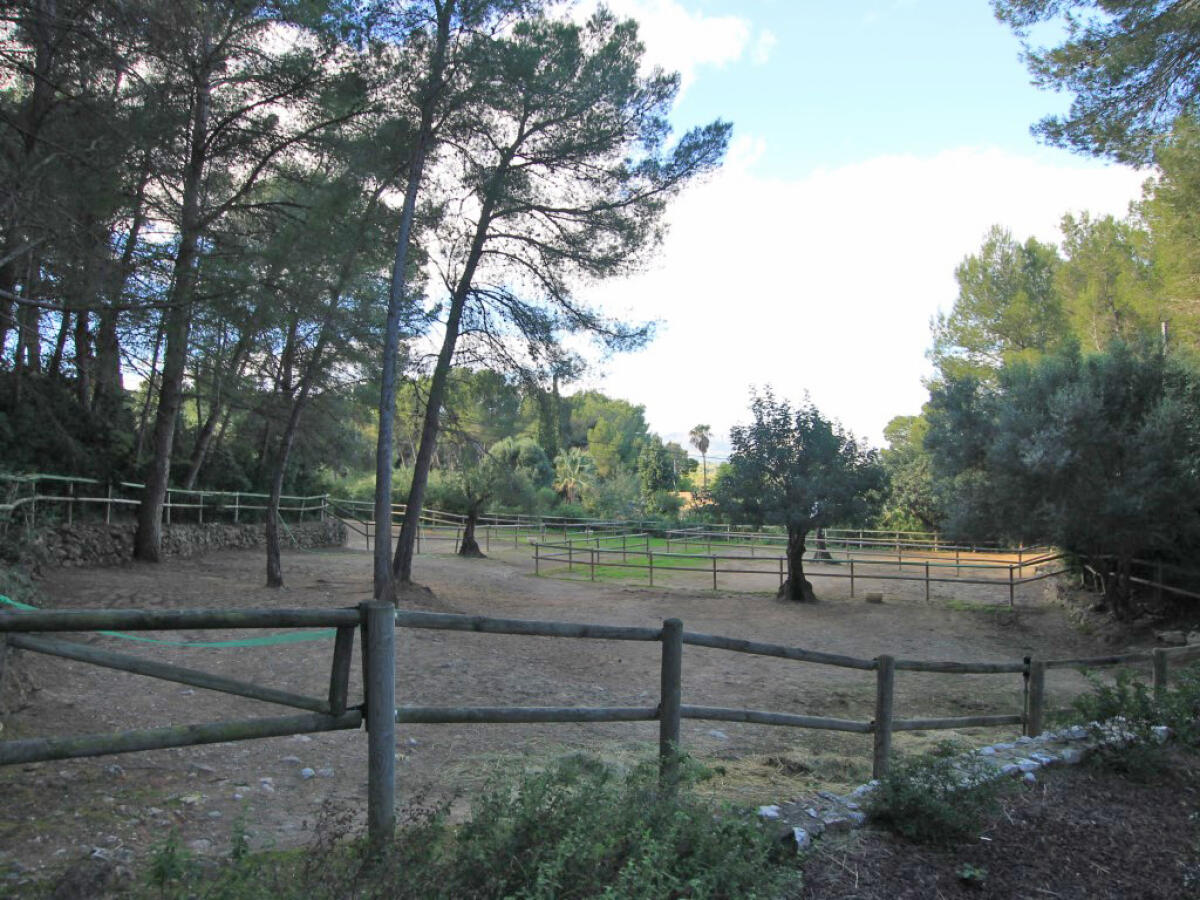 Villa 6 Chambres à vendre à Denia