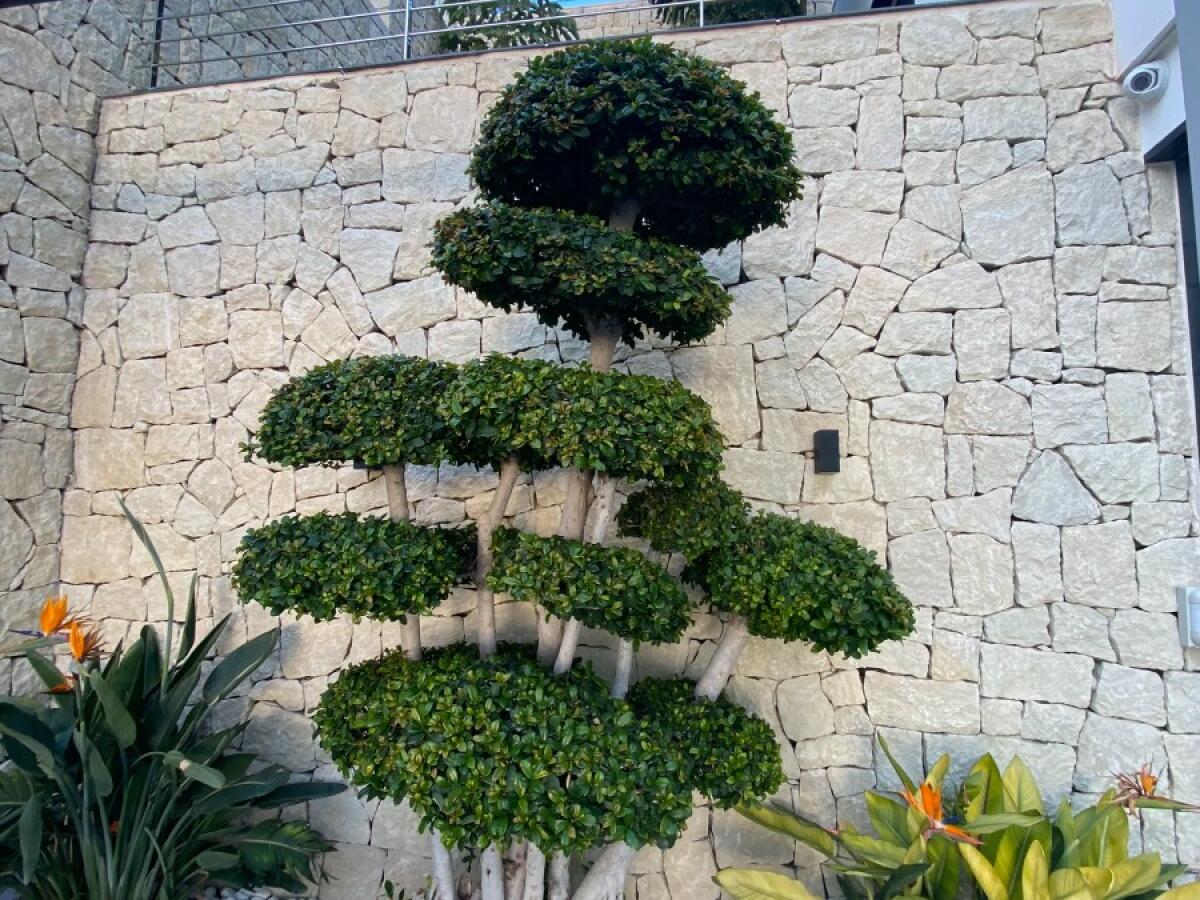 Villa 3 Chambres à vendre à Benissa Raco de Galeno