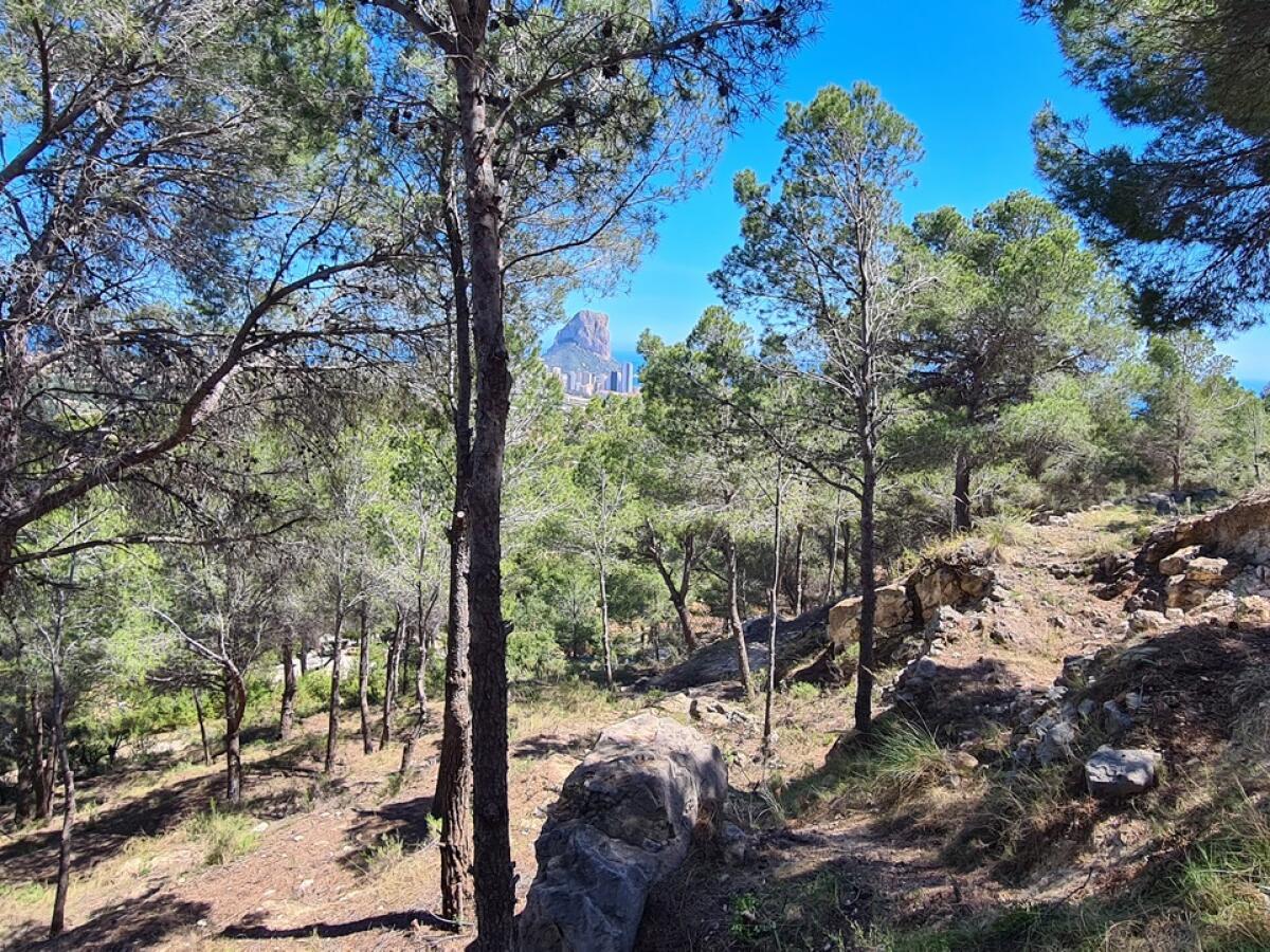 Terrain à vendre à Calpe Oltamar