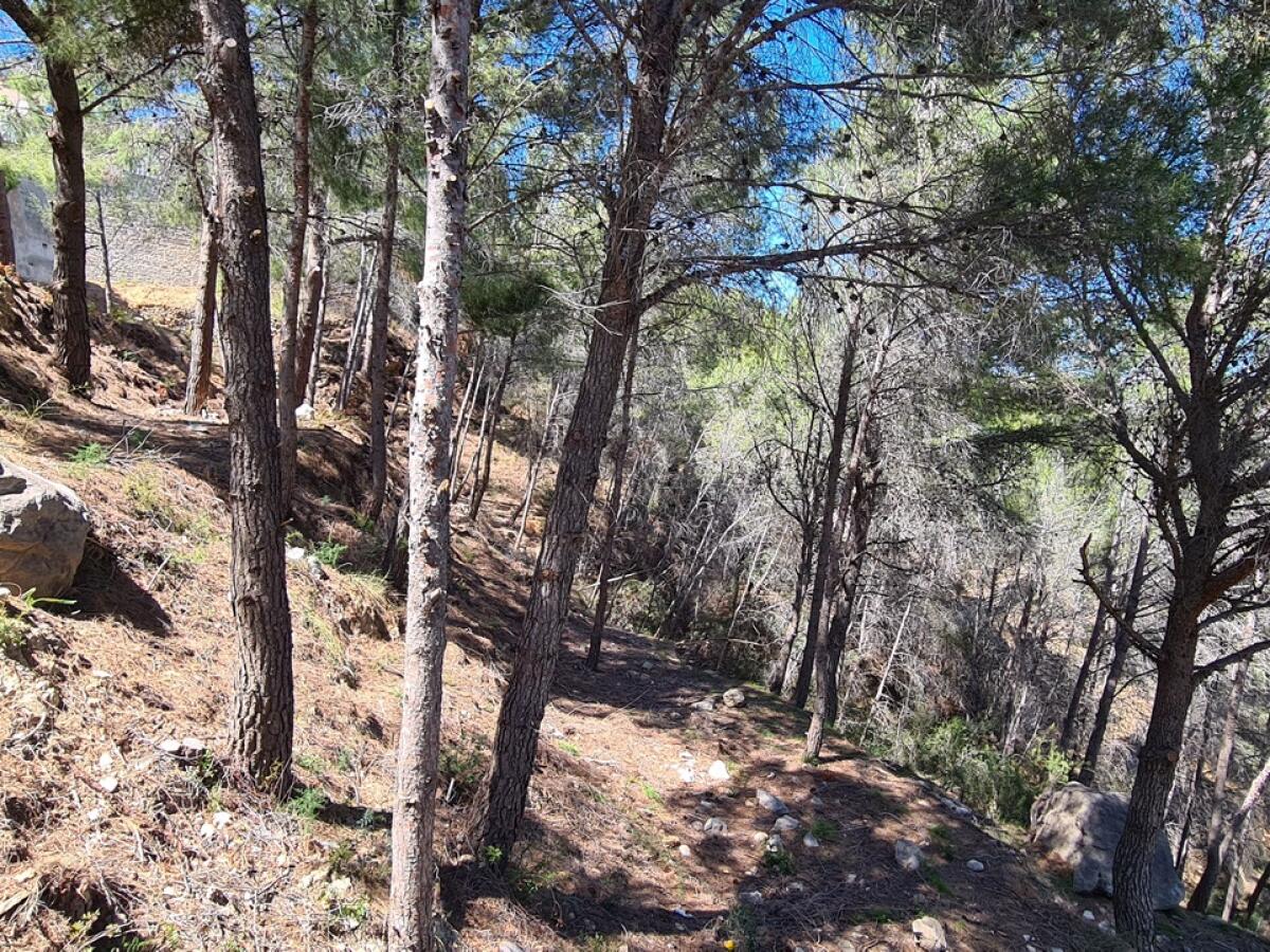 Terrain à vendre à Calpe Oltamar